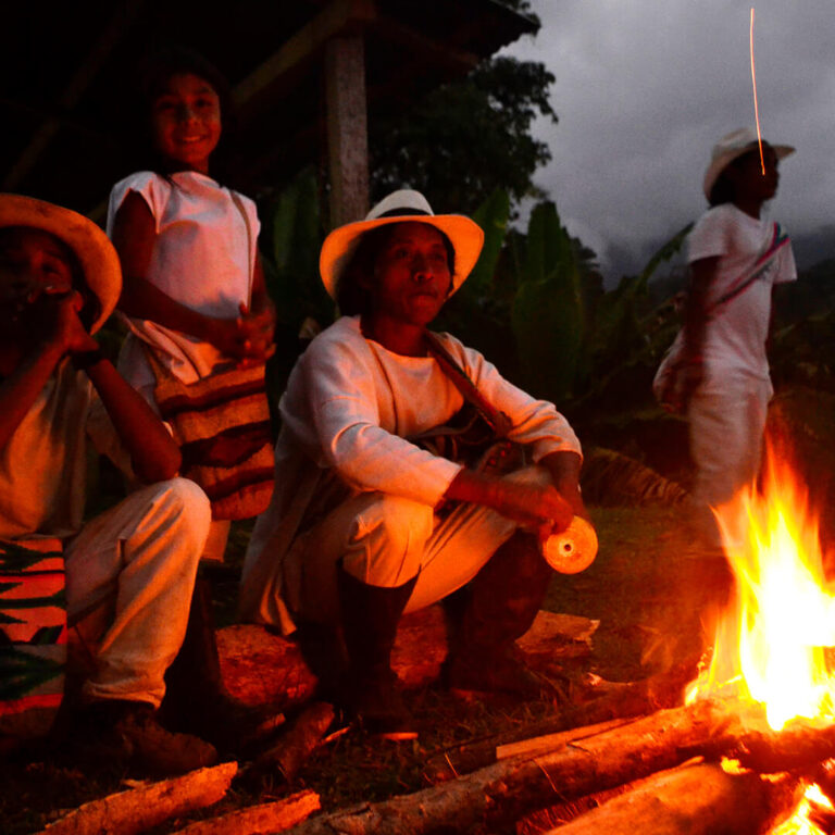 Trek Ciudad Perdida &#8211; Colombia 2021 Lost City trek colombia 10 768x768