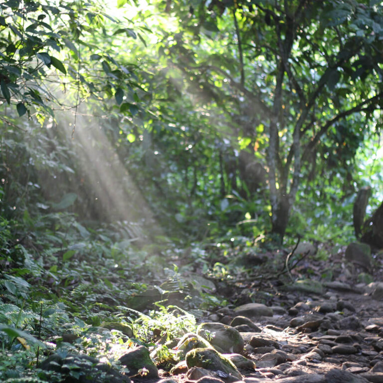 Trek Ciudad Perdida &#8211; Colombia 2021 Lost City trek colombia 13 768x768