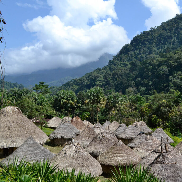 Trek Ciudad Perdida &#8211; Colombia 2021 Lost City trek colombia 16 768x768