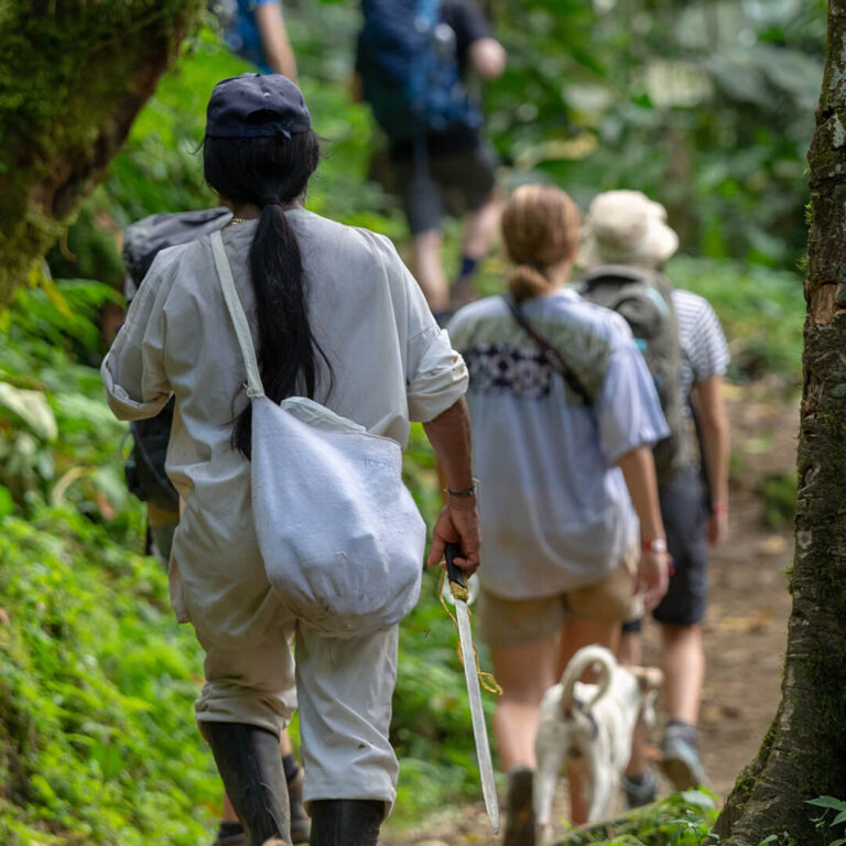 Trek Ciudad Perdida &#8211; Colombia 2021 Lost City trek colombia 17 768x768