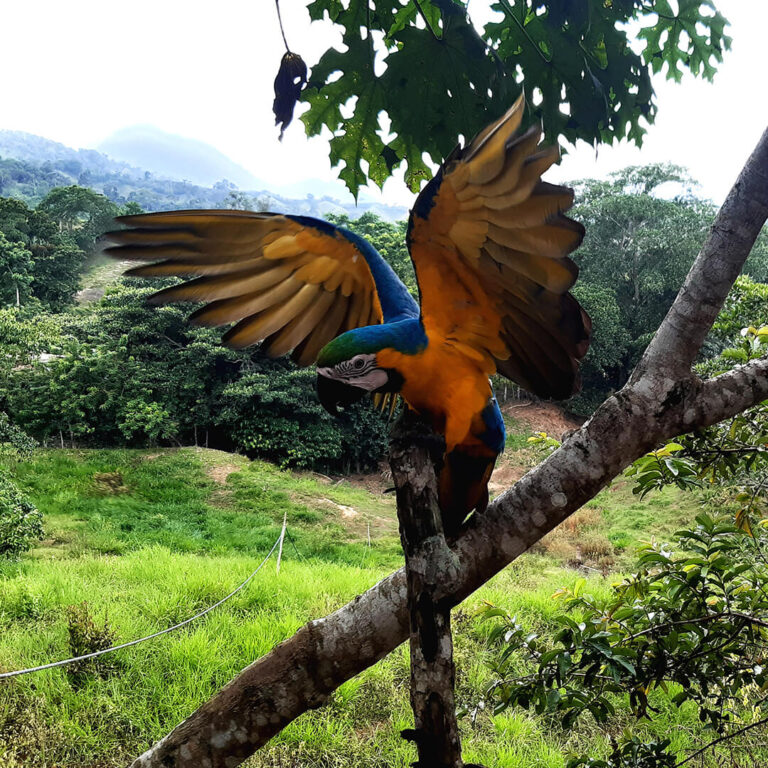 Trek Ciudad Perdida &#8211; Colombia 2021 Lost City trek colombia 18 768x768