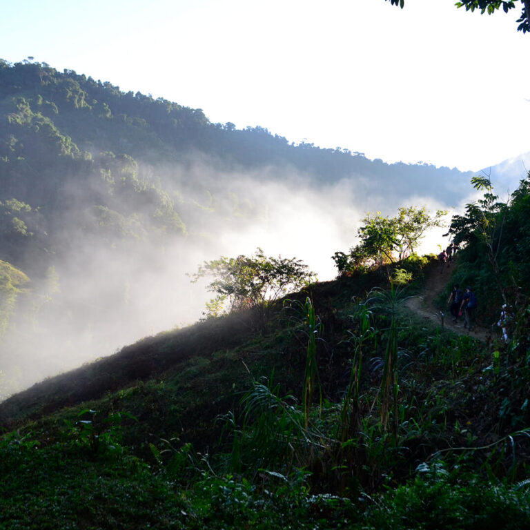 Trek Ciudad Perdida &#8211; Colombia 2021 Lost City trek colombia 22 768x768