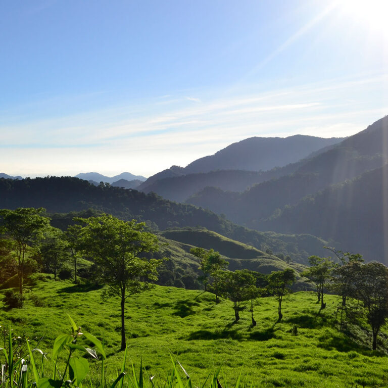 Trek Ciudad Perdida &#8211; Colombia 2021 Lost City trek colombia 23 768x768