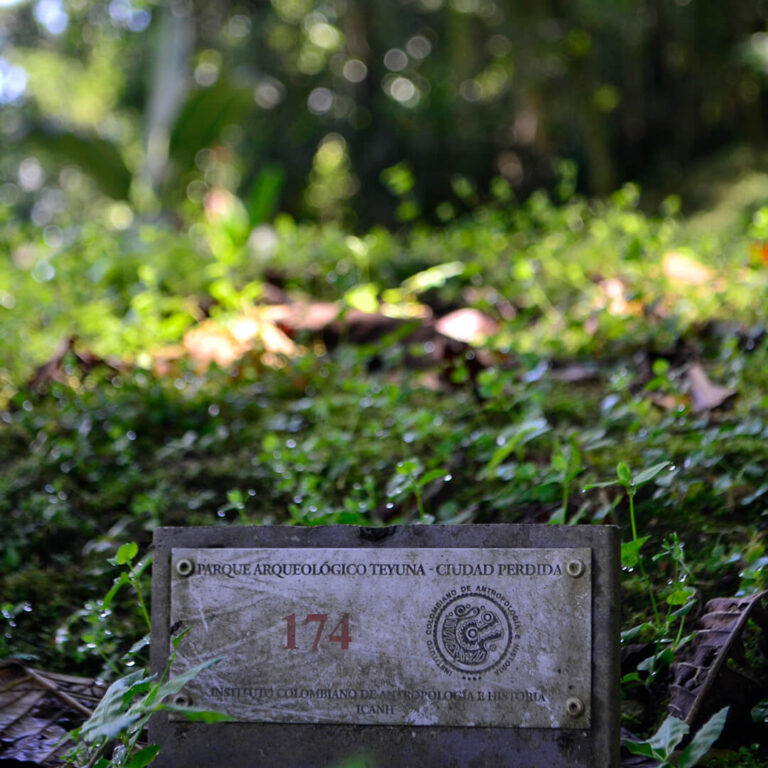 Trek Ciudad Perdida &#8211; Colombia 2021 Lost City trek colombia 24 768x768