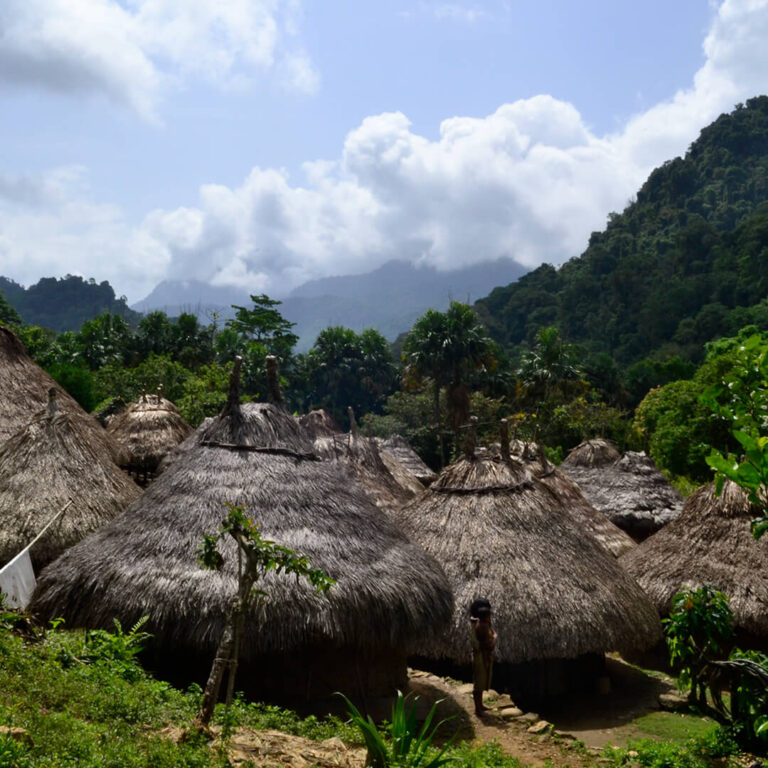 Trek Ciudad Perdida &#8211; Colombia 2021 Lost City trek colombia 25 768x768