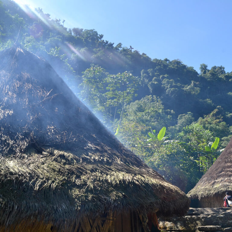 Trek Ciudad Perdida &#8211; Colombia 2021 Lost City trek colombia 26 768x768