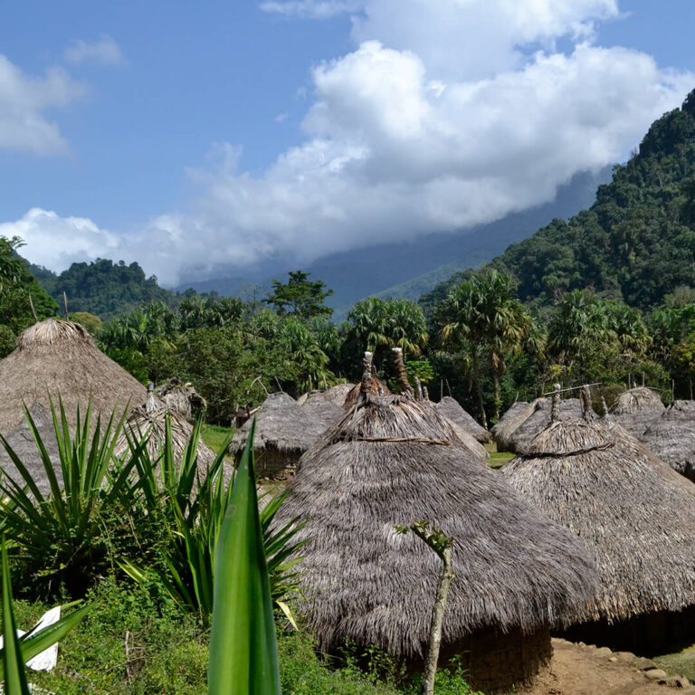 Trek Ciudad Perdida &#8211; Colombia 2021 Lost City trek colombia 29 768x768