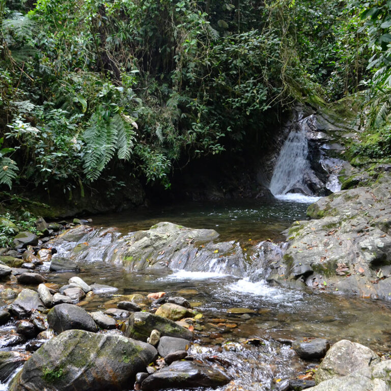 Trek Ciudad Perdida &#8211; Colombia 2021 Lost City trek colombia 31 768x768