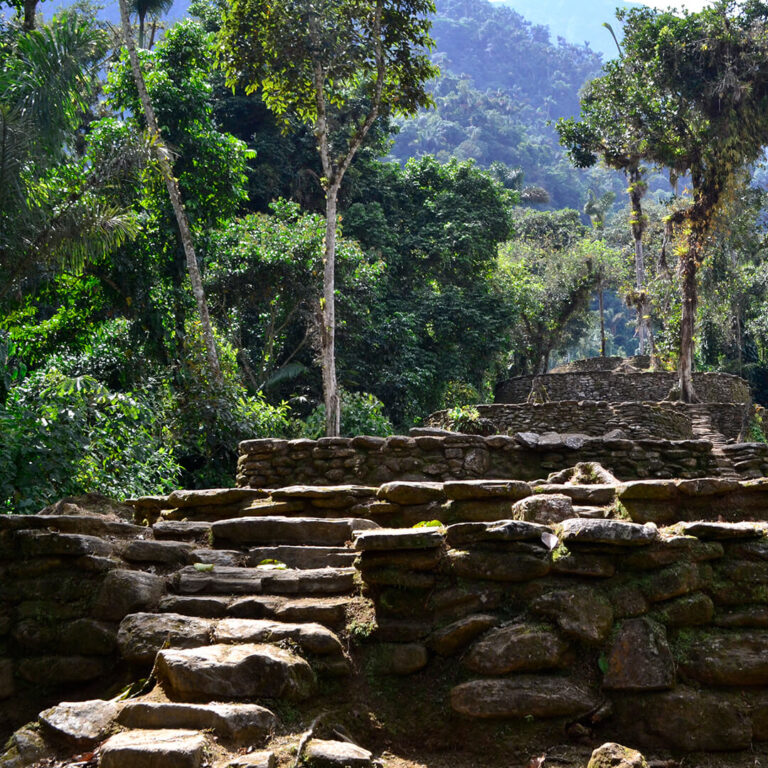 Trek Ciudad Perdida &#8211; Colombia 2021 Lost City trek colombia 33 768x768