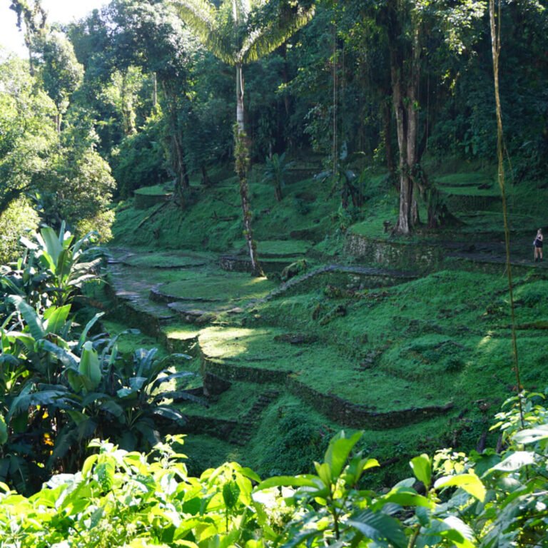 Trek Ciudad Perdida &#8211; Colombia 2021 Lost City trek colombia 5 768x768