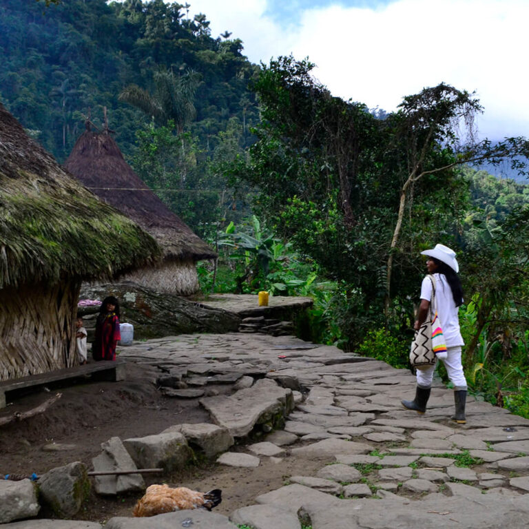 Trek Ciudad Perdida &#8211; Colombia 2021 Lost City trek colombia 9 768x768